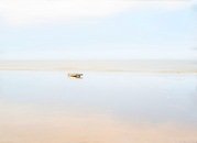 Des King - The North Sea at Titchwell
